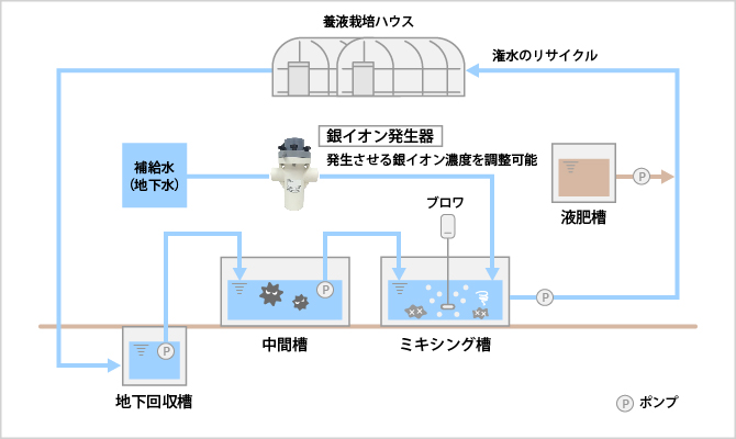 システムフロー