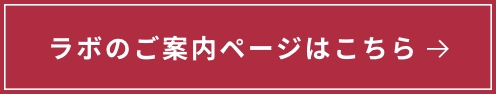 ラボのご案内ページはこちら